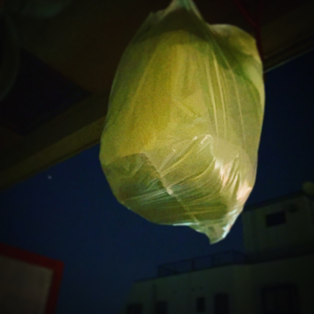 白菜の保存方法
