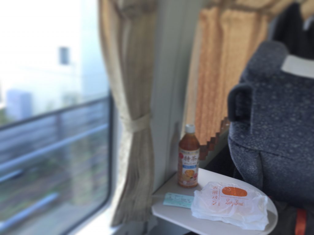 【特急踊り子号・スーパービュー踊り子号】の停車駅・時刻表・料金・予約方法のまとめ