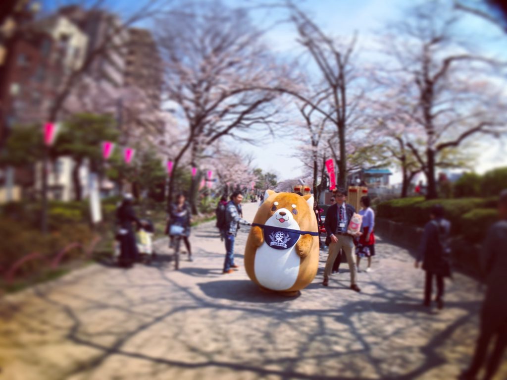 【東京の絶景カフェ】お花見のベストスポット発見✨(隅田公園タリーズ)