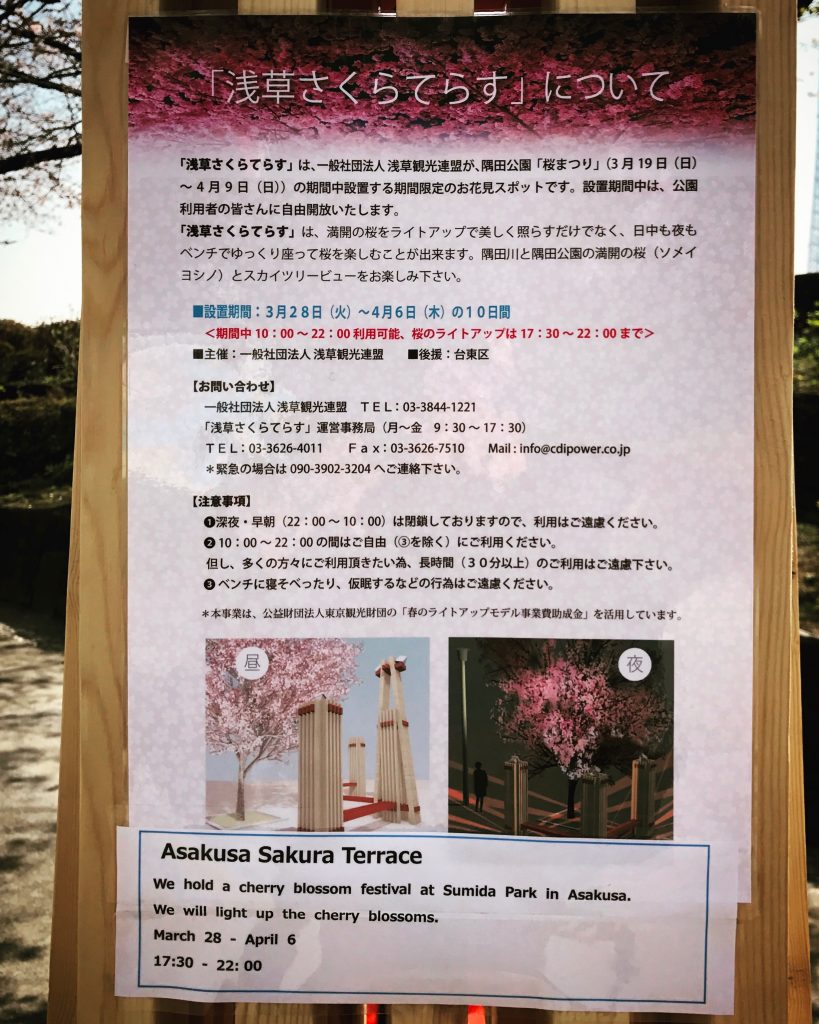 【東京の絶景カフェ】お花見のベストスポット発見✨(隅田公園タリーズ)