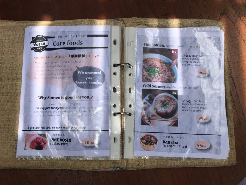 Amrita Gardenの野菜ランチプレートと伝説のマンゴーチーズケーキ🌟