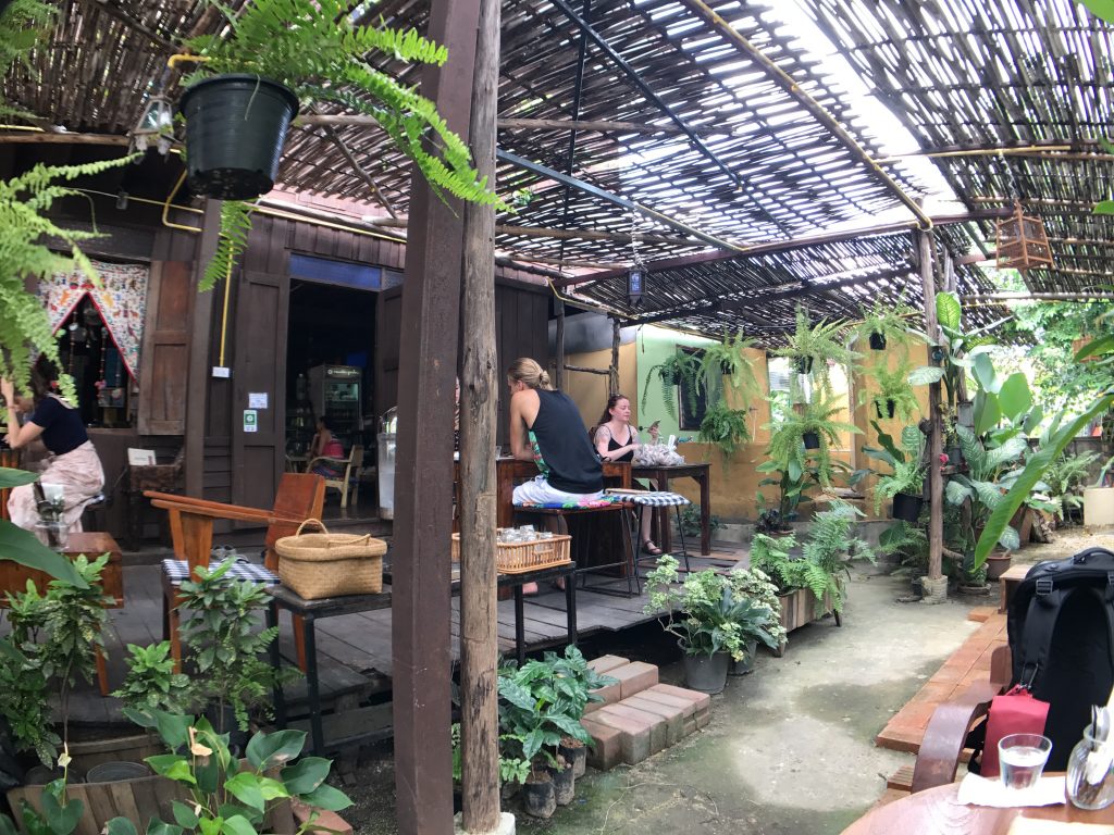 Amrita Gardenの野菜ランチプレートと伝説のマンゴーチーズケーキ🌟