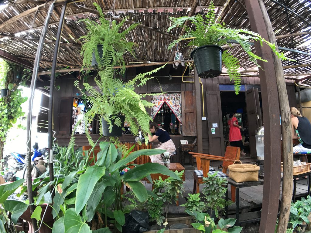 Amrita Gardenの野菜ランチプレートと伝説のマンゴーチーズケーキ🌟