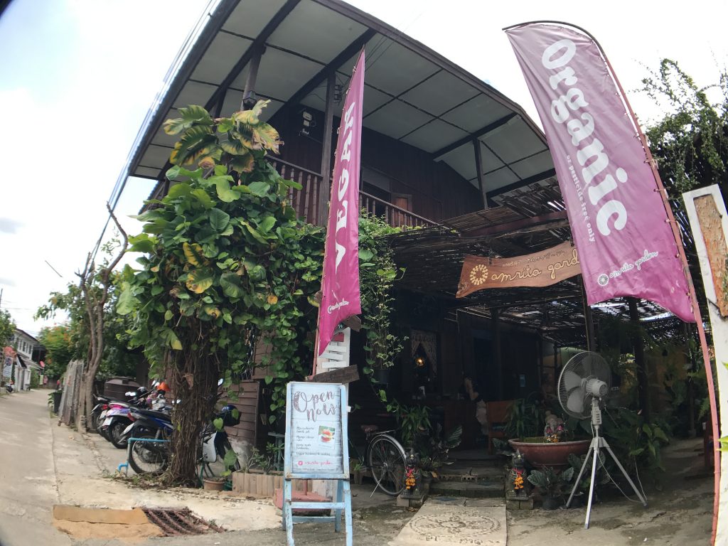 Amrita Gardenの野菜ランチプレートと伝説のマンゴーチーズケーキ🌟