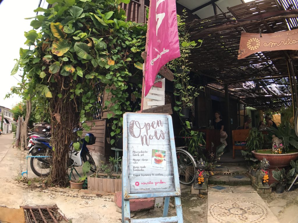 Amrita Gardenの野菜ランチプレートと伝説のマンゴーチーズケーキ🌟