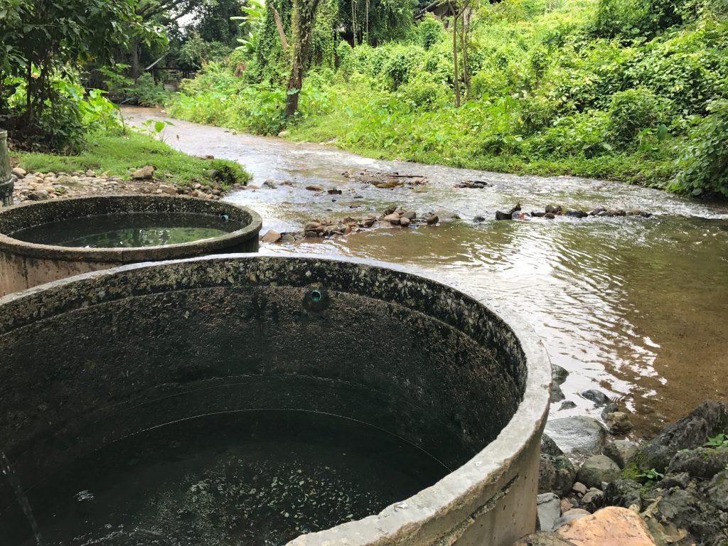 【チェンダオ土管温泉】チェンマイにある川辺の無料露天温泉が楽しい!