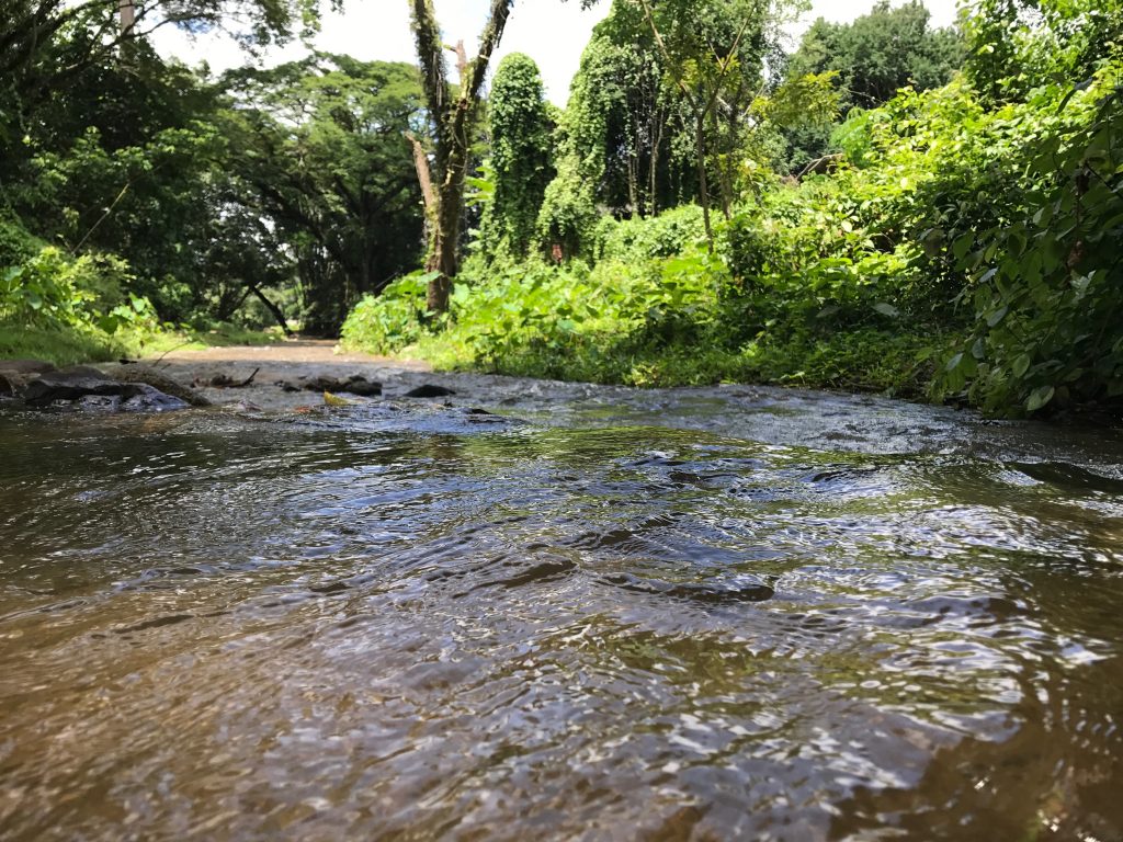 【チェンダオ土管温泉】チェンマイにある川辺の無料露天温泉が楽しい!