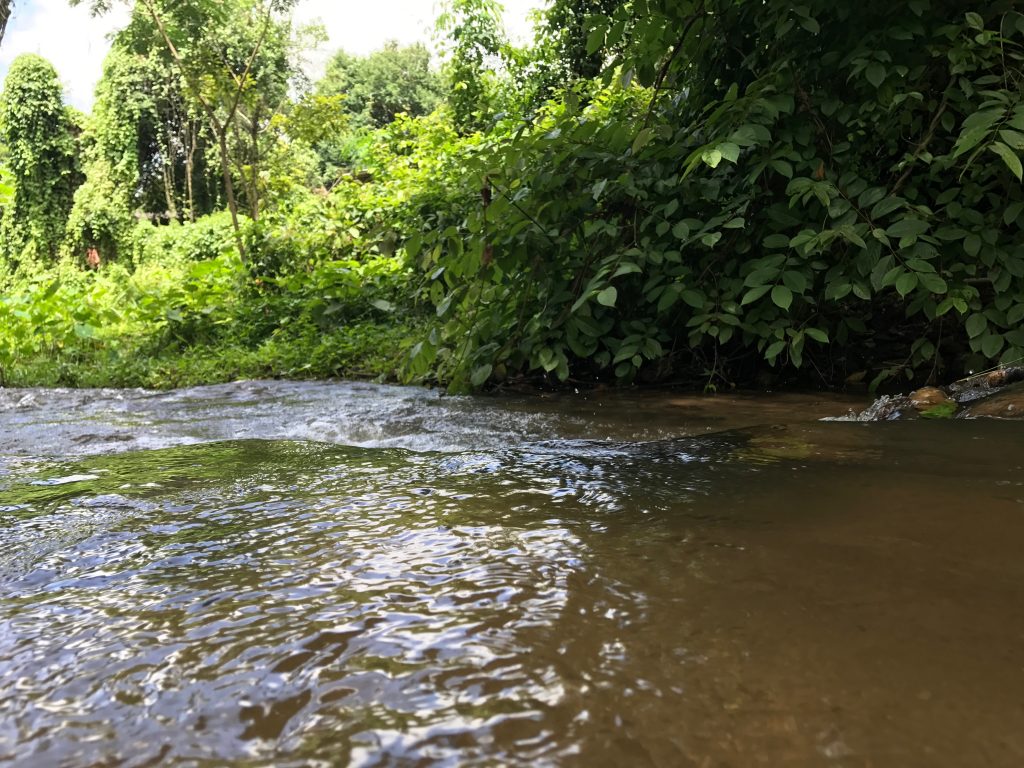 【チェンダオ土管温泉】チェンマイにある川辺の無料露天温泉が楽しい!