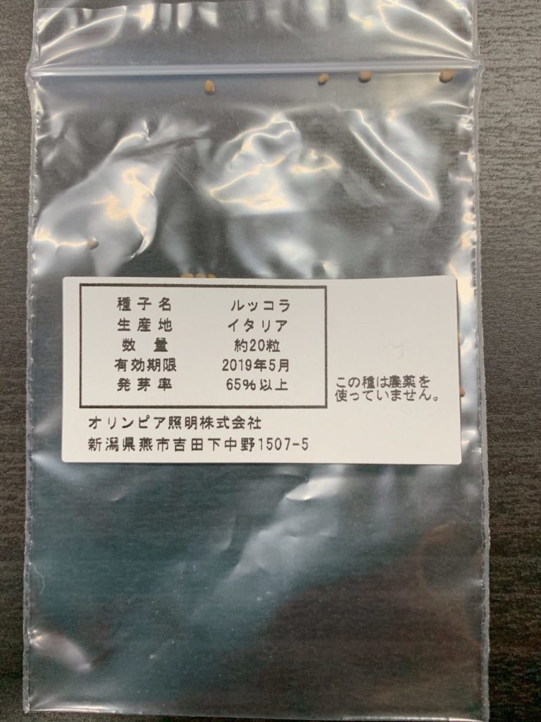 水耕栽培キット灯菜でルッコラを育ててみた(day2)