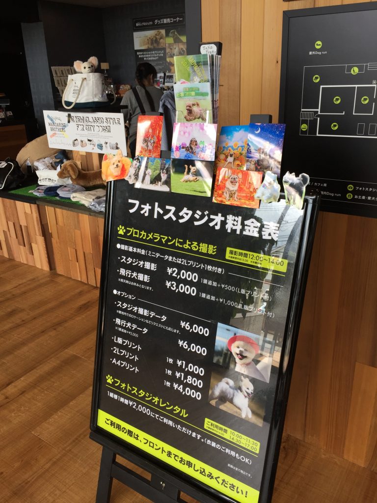【伊豆高原】おいしいランチのドッグカフェ「愛犬の駅」✨