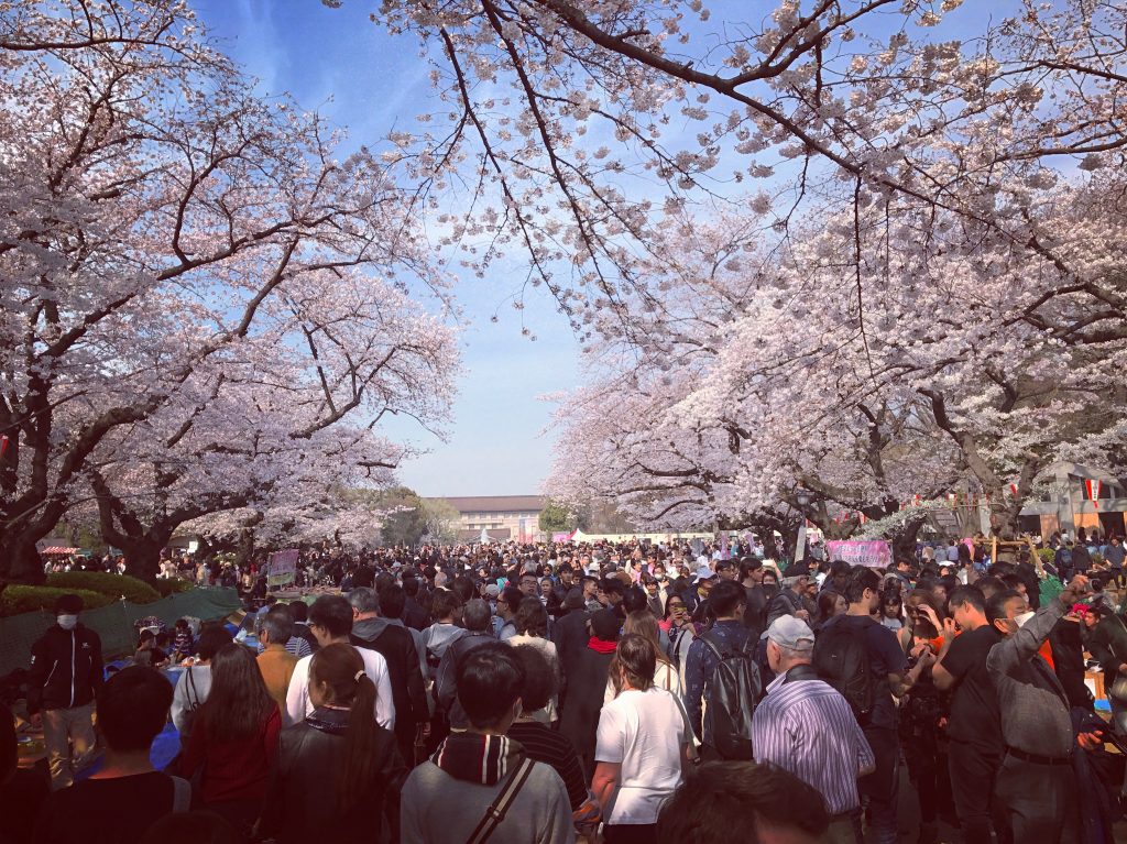 【東京のお花見ベストスポット】大混雑の上野公園でお花見をするならココ！