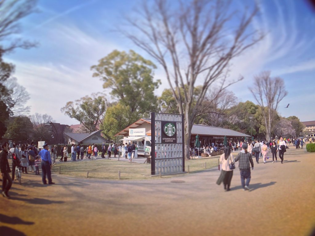 【東京のお花見ベストスポット】大混雑の上野公園でお花見をするならココ！