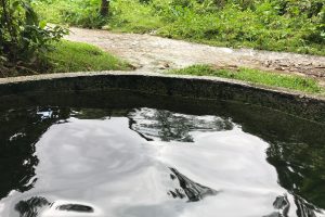 【チェンダオ土管温泉】チェンマイにある川辺の無料露天温泉が楽しい！