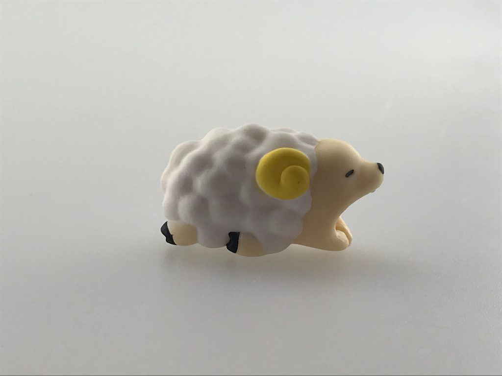 羊（sheep）