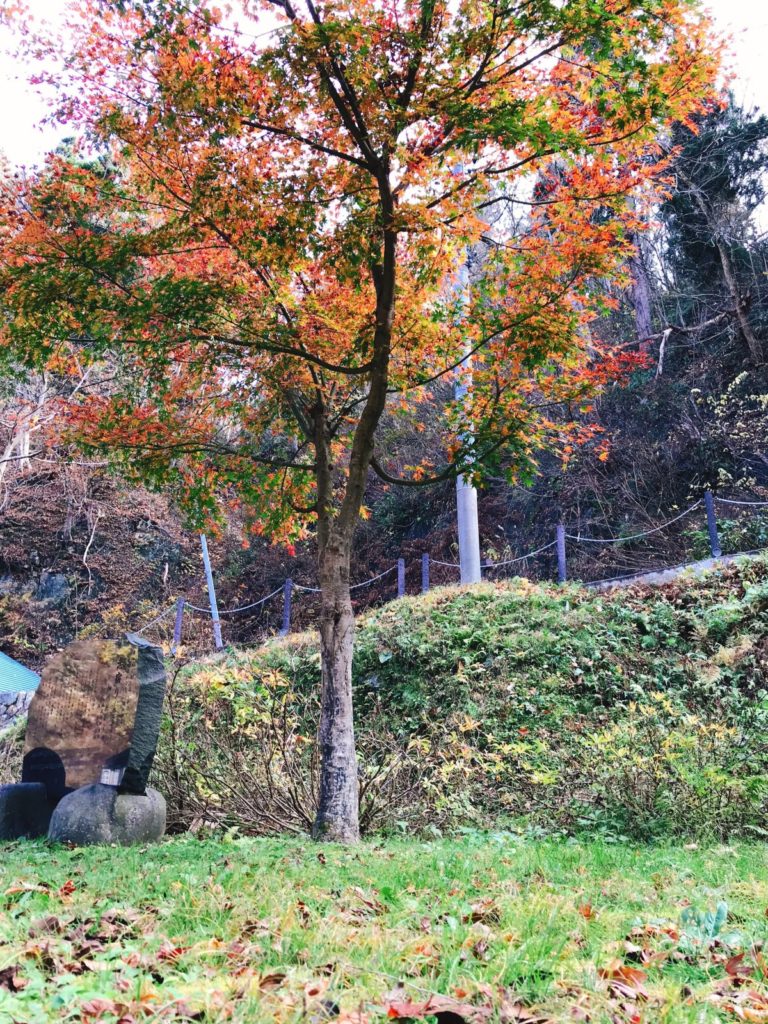 銀山温泉では例年10月下旬〜11月上旬に紅葉のピークを迎える
