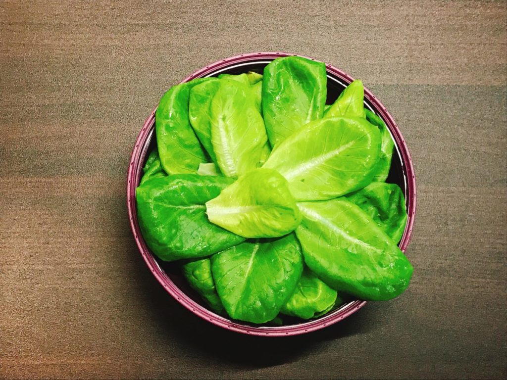 灯菜(AKARINA/アカリーナ)でサラダ菜の水耕栽培（day67）
